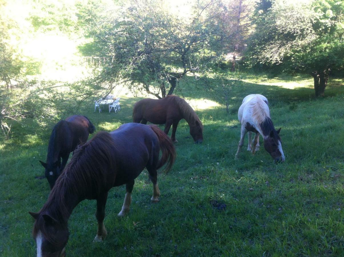 Vezelay Holiday home *