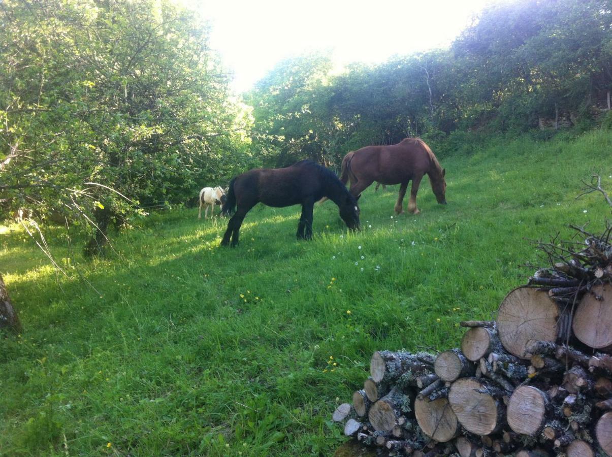 Holiday home Vezelay